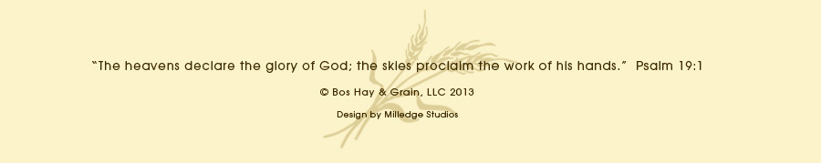 Bos Hay & Grain Verse and Copyright